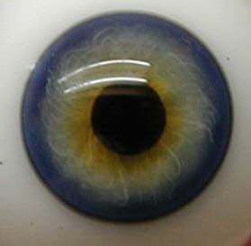 Bild von hellblau halbschale