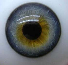 Bild von hellblaugrau halbschale