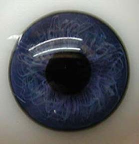 Bild von mittelblau halbschale
