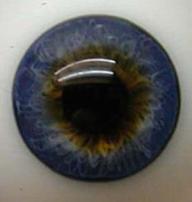 Bild von normales blau halbschale